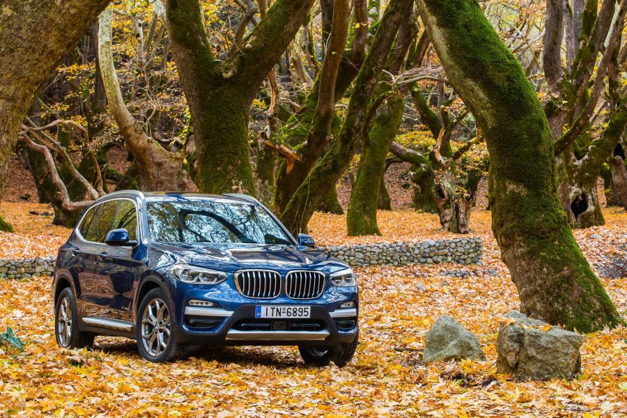  BMW X3 xDrive20d xLine (G01) 2017 года  (WW) (фото 34 из 40)